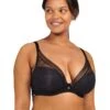 Chantelle Festivite Lace Plunge Bra -Aura Attire 71Sawp2fmL. AC SR736920