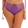 Elomi Charley High Leg Brief 1 Elomi Charley High Leg Brief -Aura Attire 71jhGD4D5CL. AC SR736920
