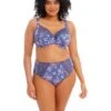 Elomi Morgan Underwire Full Cup Bra With Stretch Lace -Aura Attire 81TjOrsqbGL. AC SR736920