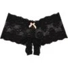 Hanky Panky Luxe Lace Crotchless Brief