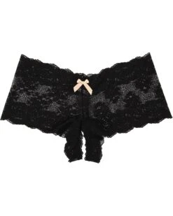 Hanky Panky Luxe Lace Crotchless Brief