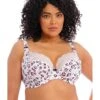 Elomi Lucie Underwire Plunge Stretch Bra -Aura Attire 81bcKe5dwkL. AC SR736920