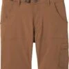 Prana Stretch Zion 10" Short -Aura Attire 81vnFLtl5QL. AC SR736920